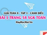 Giải bài 1 trang 58 Toán 8 Tập 1 SGK Cánh Diều